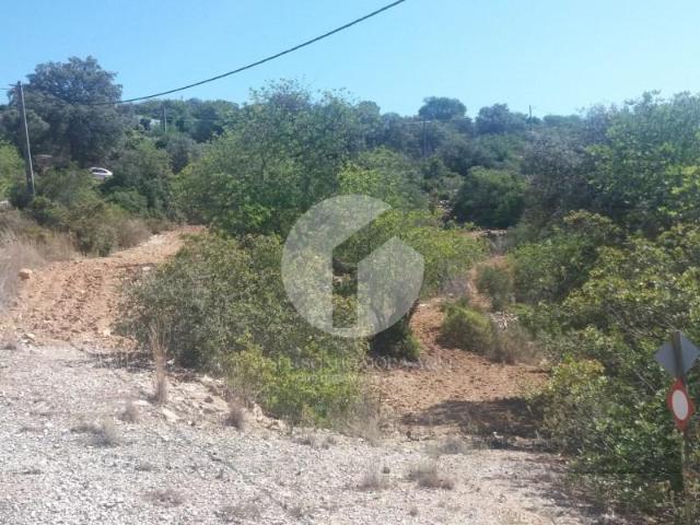 Terrenos Faro Faro DS99111538