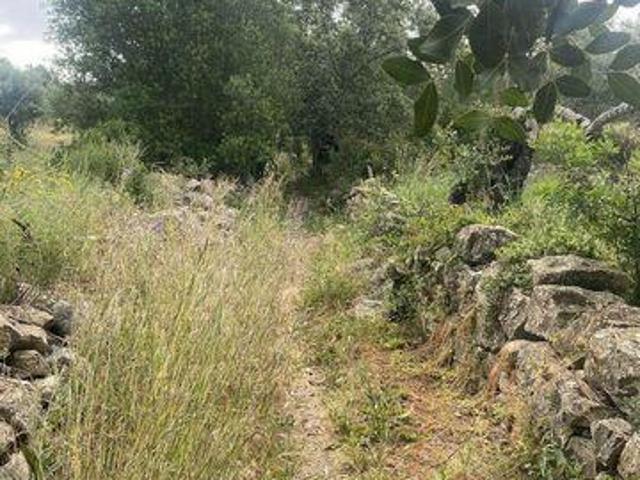 Terrenos Faro Faro DS101997175