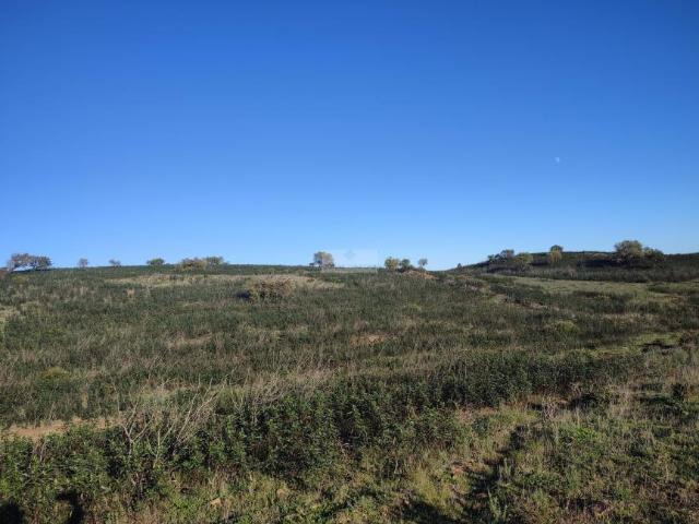 Terrenos Faro Faro DS101398491