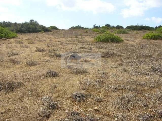 Terrenos Faro Faro DS101399438