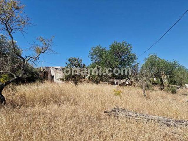 Terrenos Faro Faro DS102116536