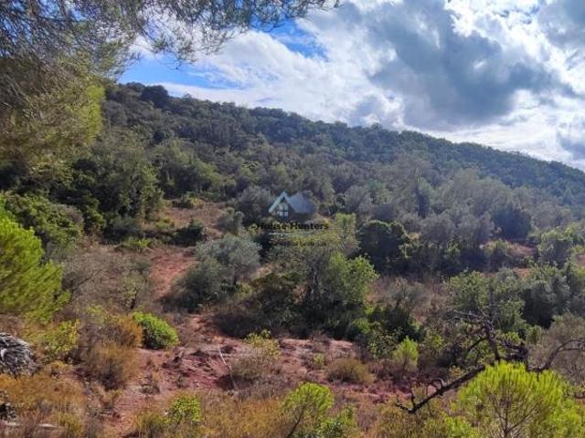 Terrenos Faro Loulé 8100 DS99505955