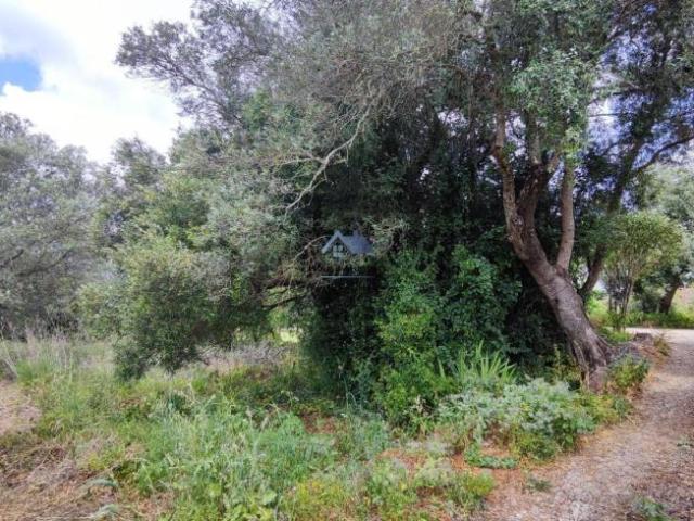 Terrenos Faro Loulé 8100 DS102203724