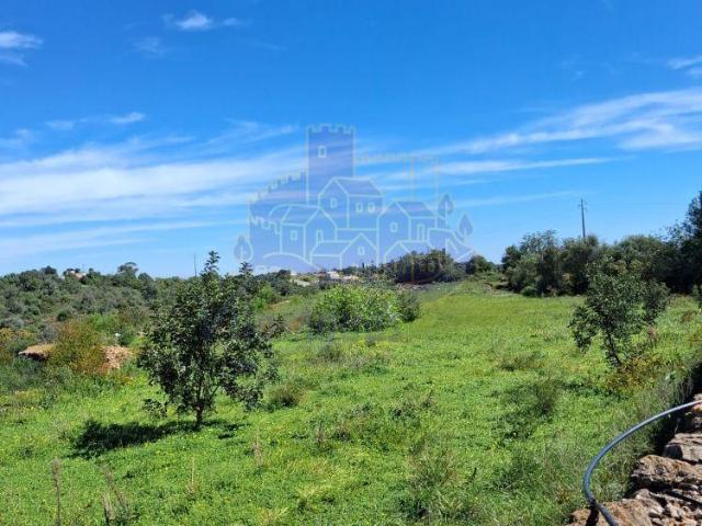 Terrenos Faro Silves 8300 DLS100708881