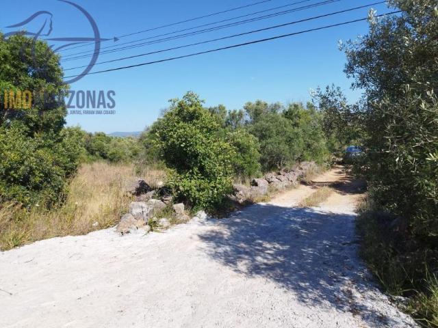 Terrenos Faro Silves 8375 DLS102658245