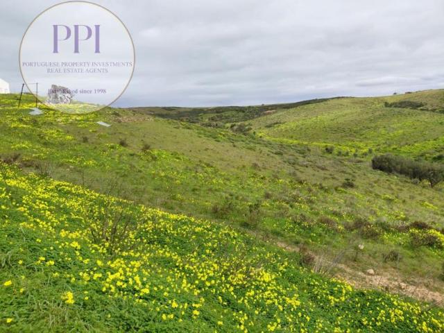 Terrenos Faro Vila do Bispo 8650 DS99934492