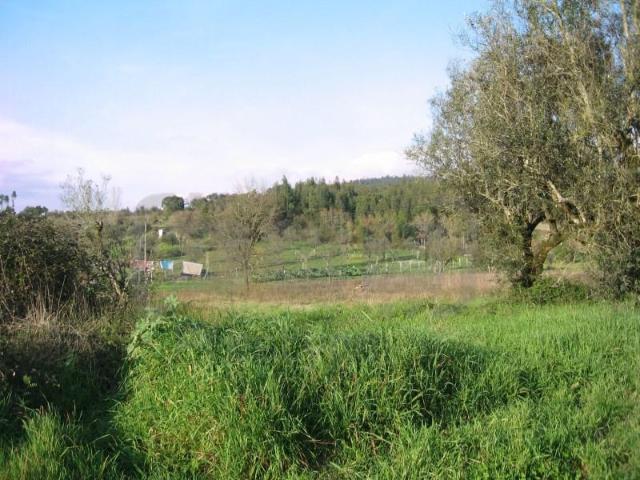 Terrenos Ferreira do Zêzere Ferreira do Zêzere DLS100590336