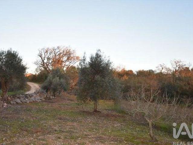 Terrenos Ferreira Do Zezere Santarem DLS102526436