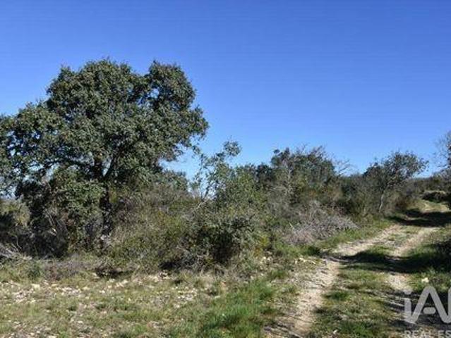 Terrenos Ferreira Do Zezere Santarem DLS102526432