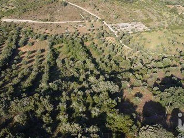 Terrenos Ferreira Do Zezere Santarem DLS102558077