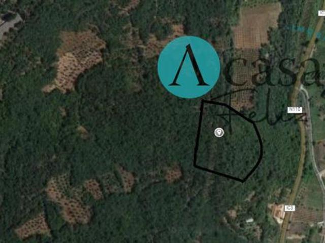 Terrenos Ferreira do Zêzere Santarém DLS82978611