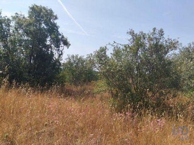 Terrenos Ferreira Do Zezere Santarem DLS91669553