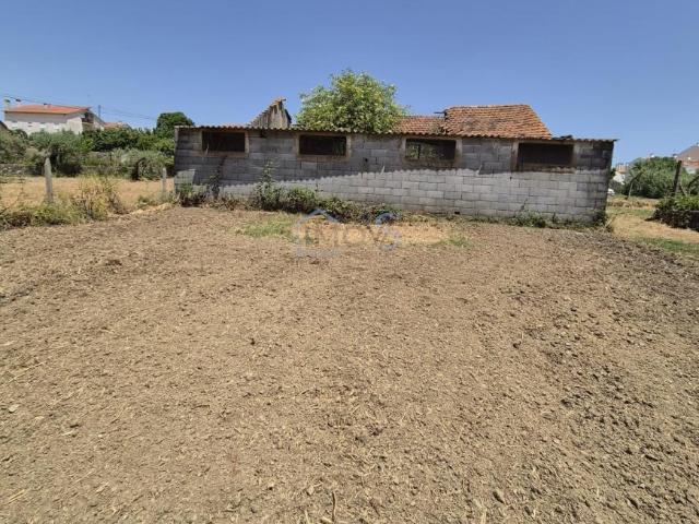 Terrenos Ferreira do Zêzere Santarém DLS92129367
