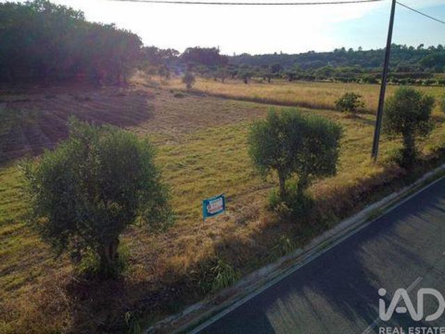 Terrenos Ferreira Do Zezere Santarem DLS93609349