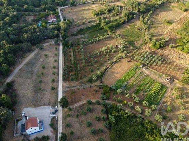 Terrenos Ferreira Do Zezere Santarem DLS93609359