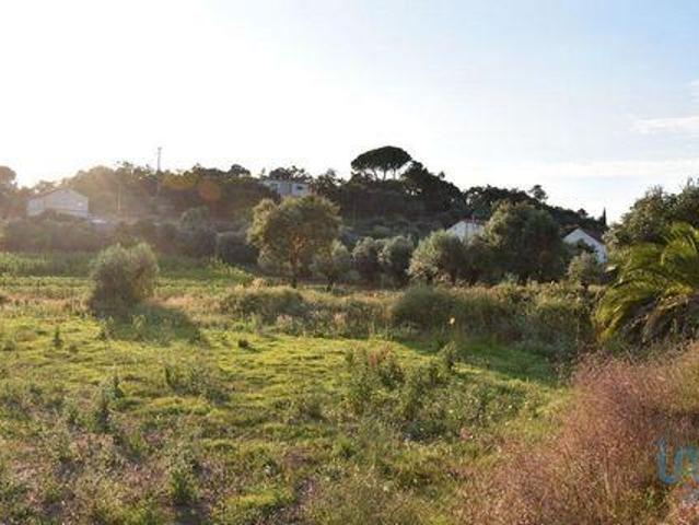 Terrenos Ferreira Do Zezere Santarem DLS93609374