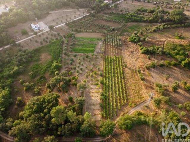Terrenos Ferreira Do Zezere Santarem DLS93614351