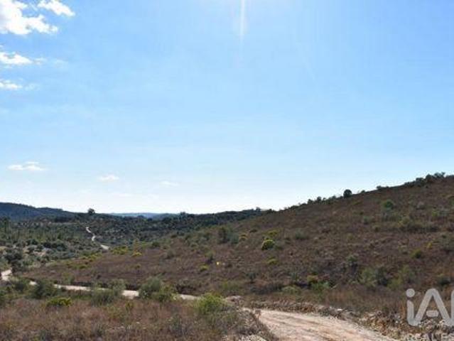 Terrenos Ferreira Do Zezere Santarem DLS95040248