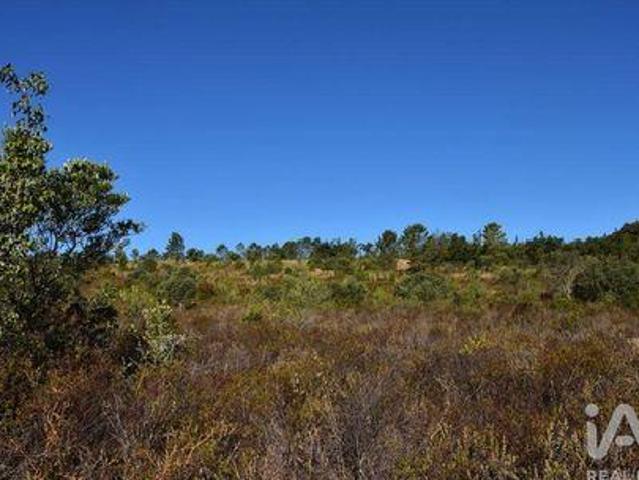 Terrenos Ferreira Do Zezere Santarem DLS96043293