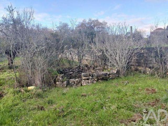 Terrenos Ferreira Do Zezere Santarem DLS98337967