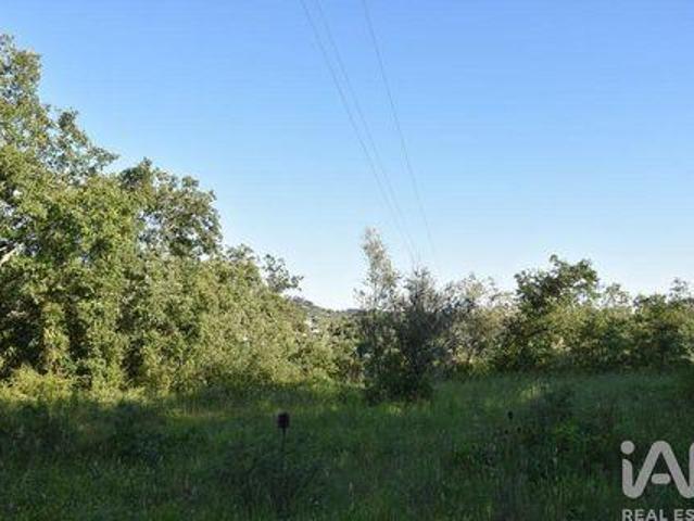 Terrenos Ferreira Do Zezere Santarem DLS99028377