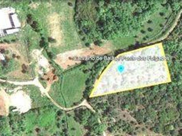 Terrenos Ferreira Do Zezere Santarem DLS99028383