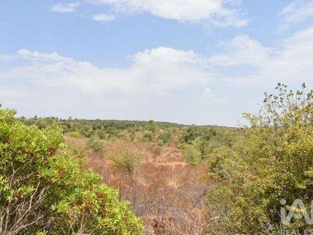 Terrenos Ferreira Do Zezere Santarem DLS99028385