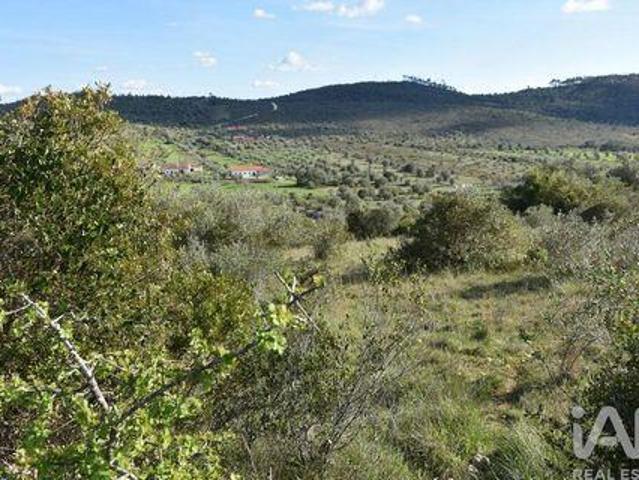 Terrenos Ferreira Do Zezere Santarem DS100425848