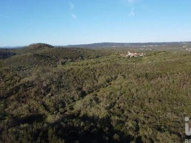 Terrenos Ferreira Do Zezere Santarem DS100425870