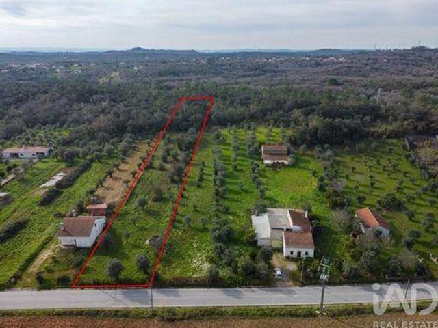 Terrenos Ferreira Do Zezere Santarem DS100158429