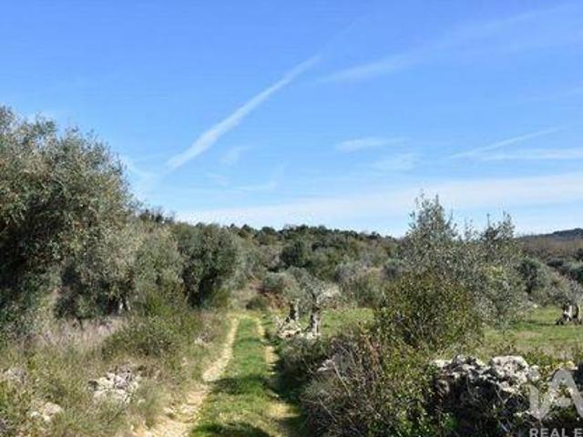 Terrenos Ferreira Do Zezere Santarem DS102526437