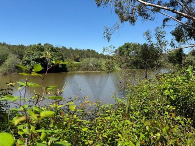 Terrenos Ferreira do Alentejo Ferreira do Alentejo DLS98863354