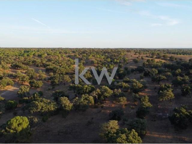 Terrenos Ferreira do Alentejo Ferreira do Alentejo DLS98823984