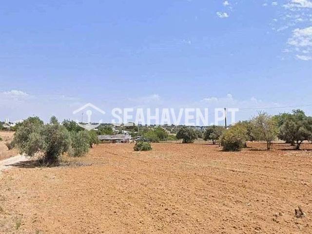 Terrenos Ferreiras Algarve DLS99469302
