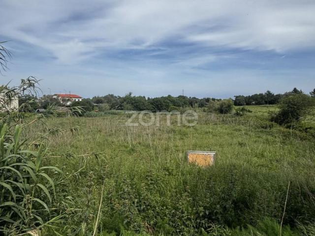 Terrenos Figueira da Foz Figueira da Foz DS101515951