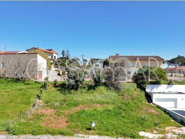 Terrenos Figueira da Foz Figueira da Foz DS97118953