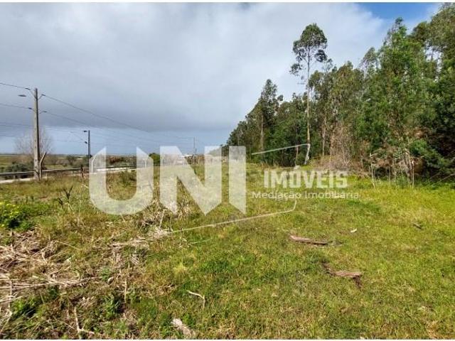 Terrenos Figueira da Foz Figueira da Foz DS97124227