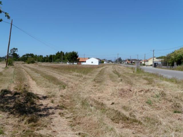 Terrenos Figueira da Foz Figueira da Foz DS99054341