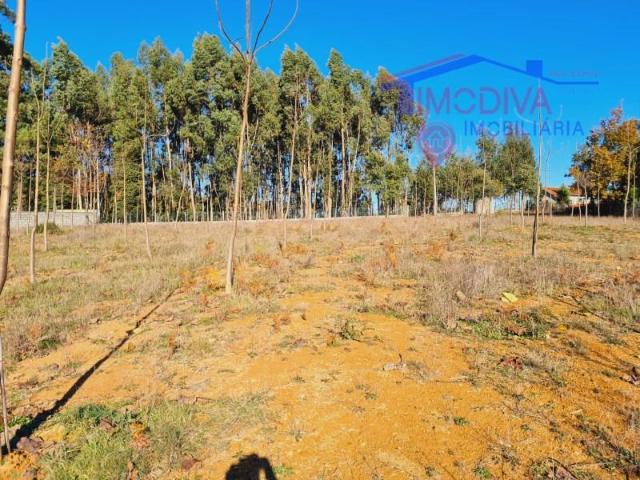 Terrenos Figueiró dos Vinhos Figueiró dos Vinhos DLS98544477