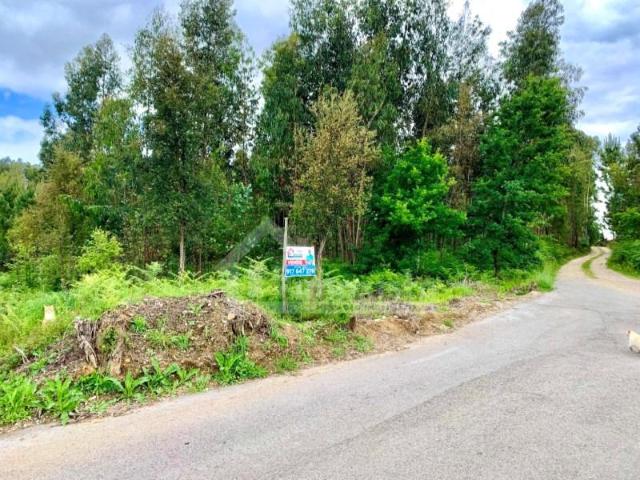 Terrenos Figueiró dos Vinhos Figueiró dos Vinhos DS101212761