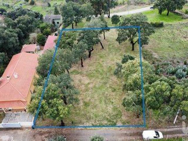 Terrenos Figueiro Dos Vinhos Leiria DS98150585