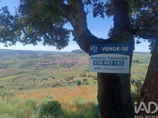 Terrenos Freixo Espada a Cinta Braganca DLS91994333