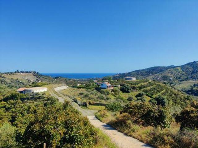 Terrenos Frigiliana Malaga 91955905