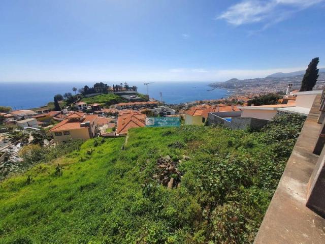 Terrenos Funchal Funchal DLS90646024