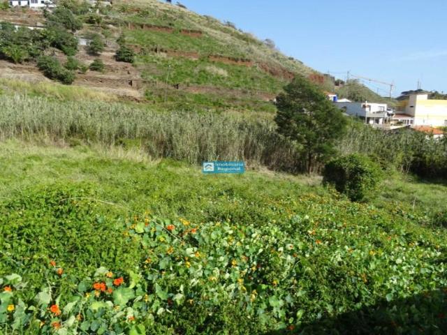 Terrenos Funchal Funchal DLS96619199