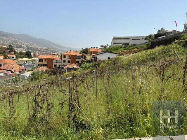 Terrenos Funchal Funchal DS87045554