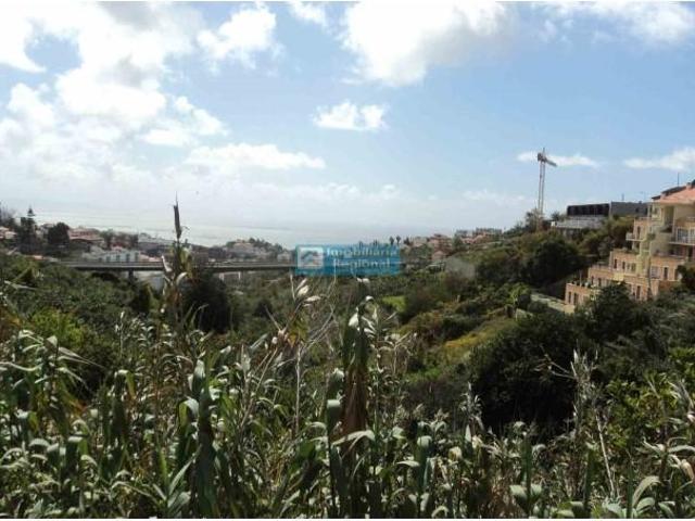 Terrenos Funchal Funchal DS91353962