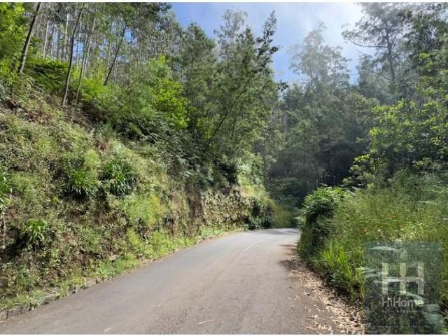 Terrenos Funchal Funchal DS92030396