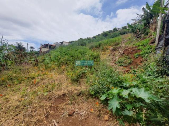 Terrenos Funchal Funchal DS93146829