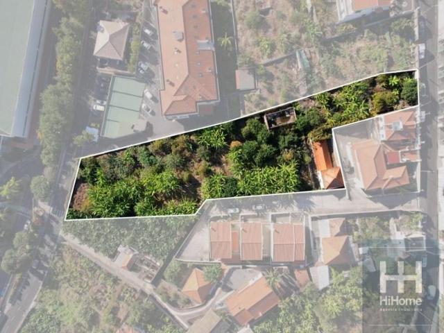 Terrenos Funchal Funchal DS95264575